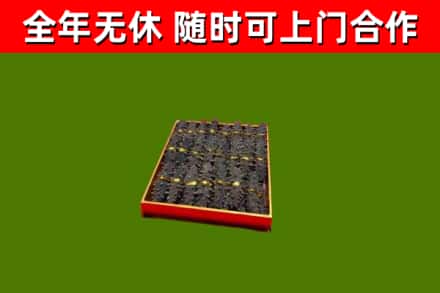 丹凤回收海参